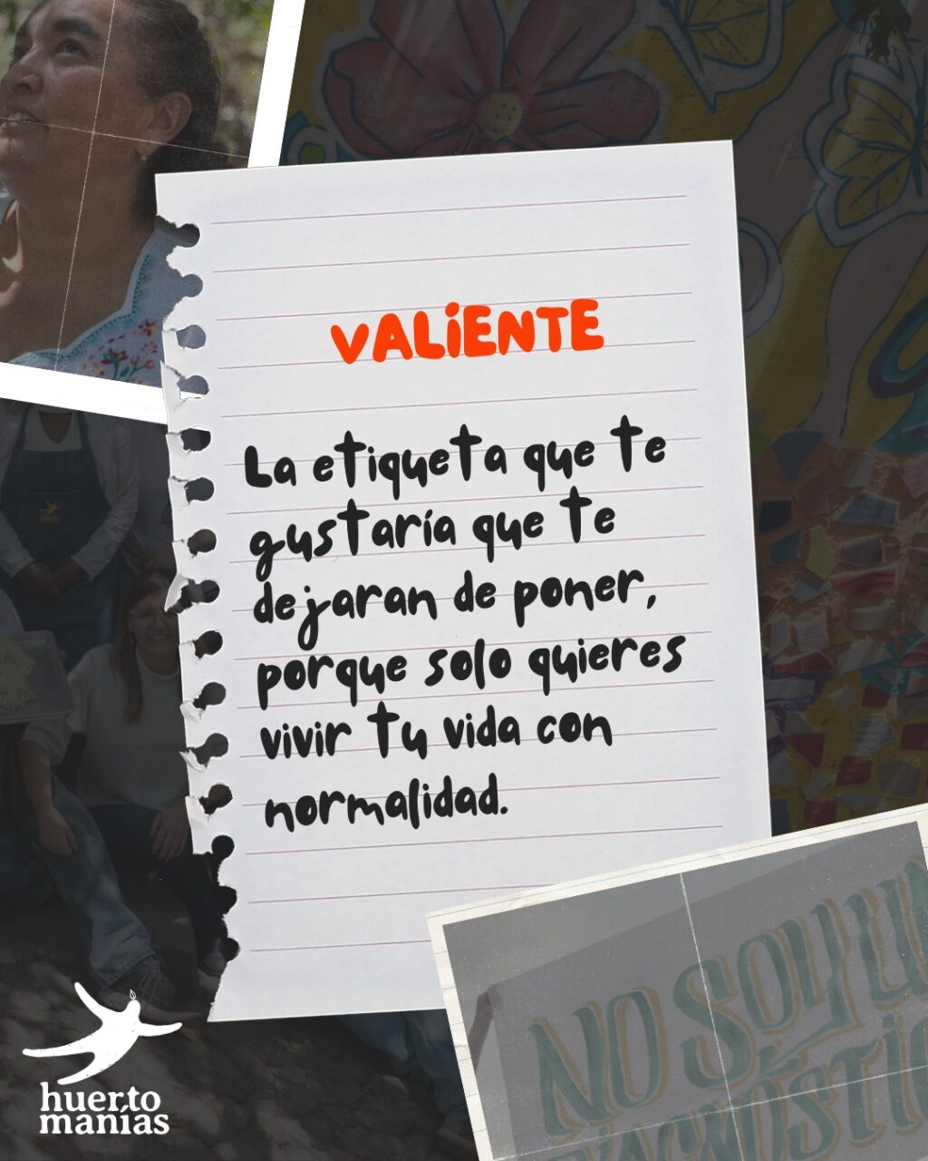 Instagram post from huertomanias. This post is in position 6.