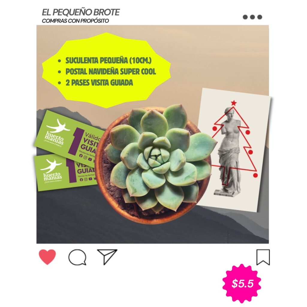 Instagram post from huertomanias. This post is in position 5.