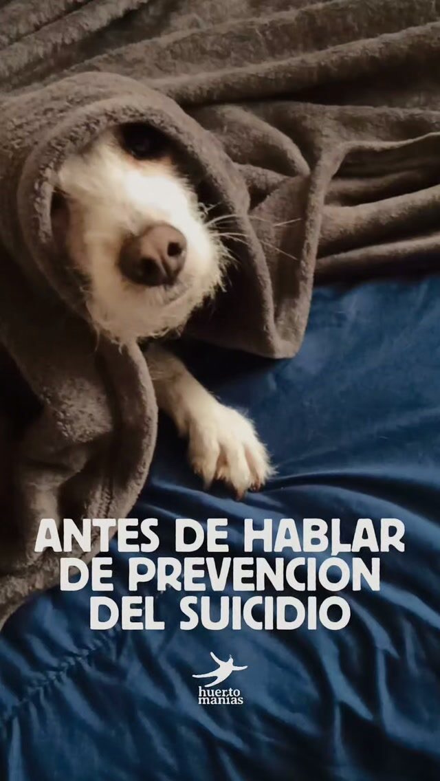 Instagram post from huertomanias. This post is in position 4.
